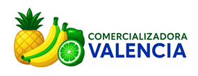 Comercializadora Valencia